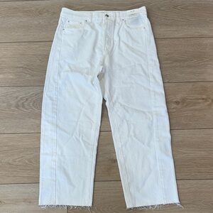 NWT Madewell Pieced Barrel-Leg Jeans